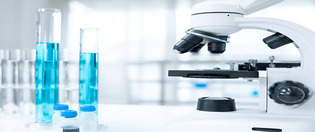 steptodown.com593261 1